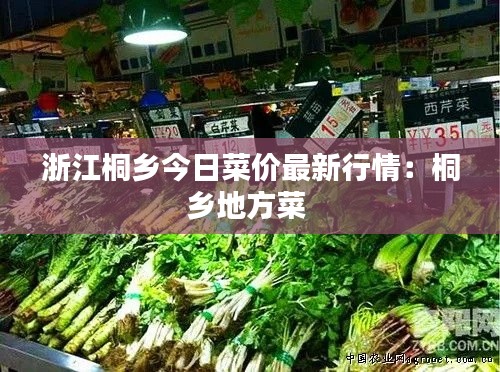 口若悬河 第3页