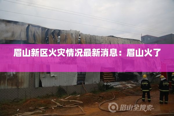 眉山新区火灾情况最新消息：眉山火了 