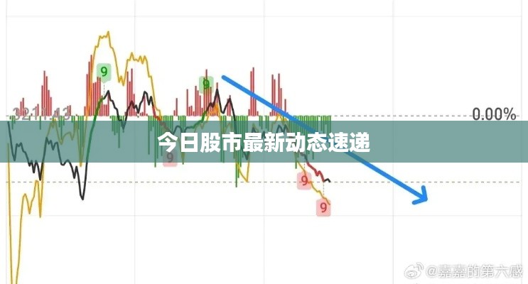 今日股市最新动态速递