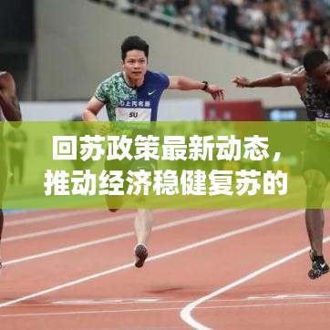 回苏政策最新动态，推动经济稳健复苏的关键举措揭秘