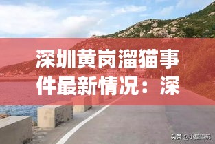 深圳黄岗溜猫事件最新情况：深圳黄岗村公园 
