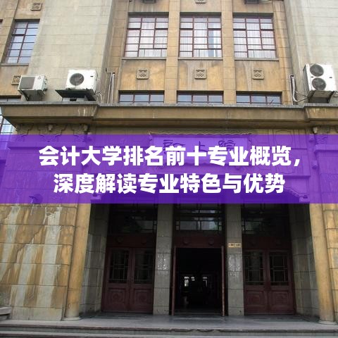 会计大学排名前十专业概览，深度解读专业特色与优势