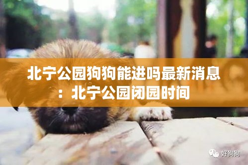 北宁公园狗狗能进吗最新消息：北宁公园闭园时间 