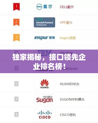 独家揭秘，接口领先企业排名榜！