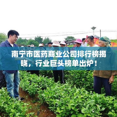 南宁市医药商业公司排行榜揭晓，行业巨头榜单出炉！