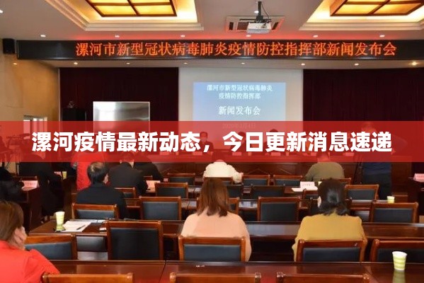 漯河疫情最新动态，今日更新消息速递
