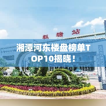 湘潭河东楼盘榜单TOP10揭晓！