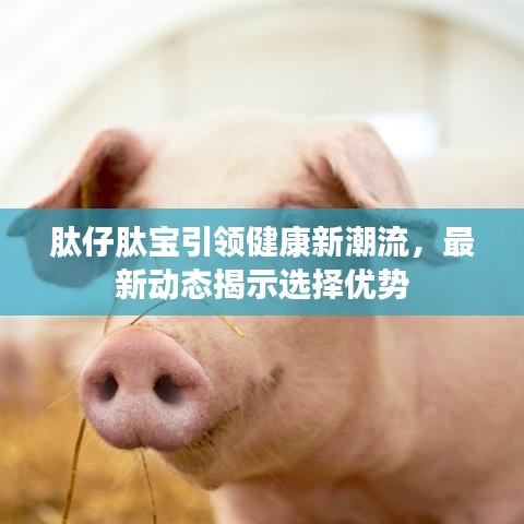 肽仔肽宝引领健康新潮流，最新动态揭示选择优势