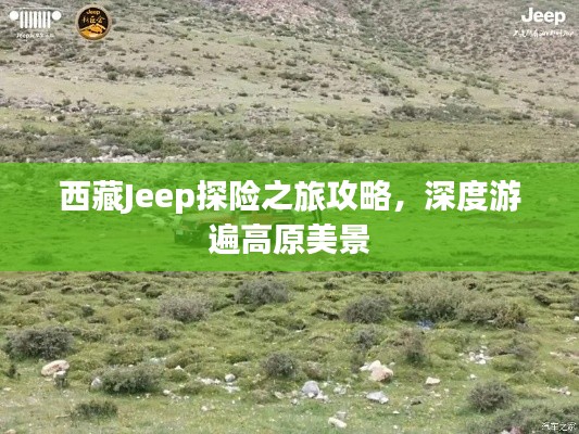 济济一堂 第3页