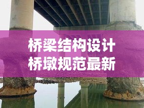 桥梁结构设计桥墩规范最新：桥墩设计方案 