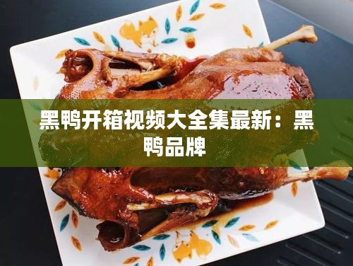 学而不厌 第3页