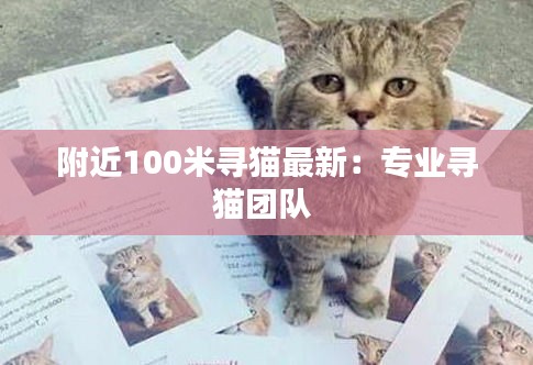 附近100米寻猫最新：专业寻猫团队 