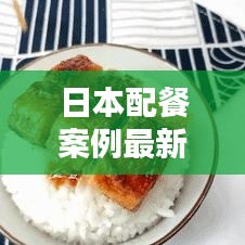 日本配餐案例最新视频讲解：日料配餐 