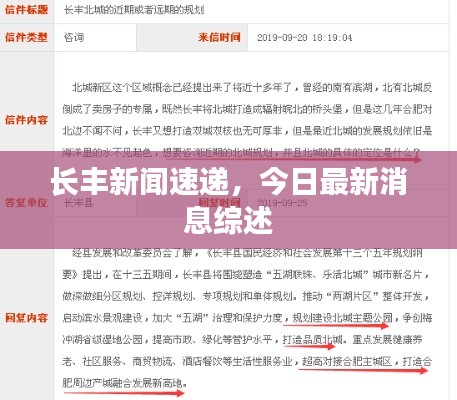 长丰新闻速递，今日最新消息综述