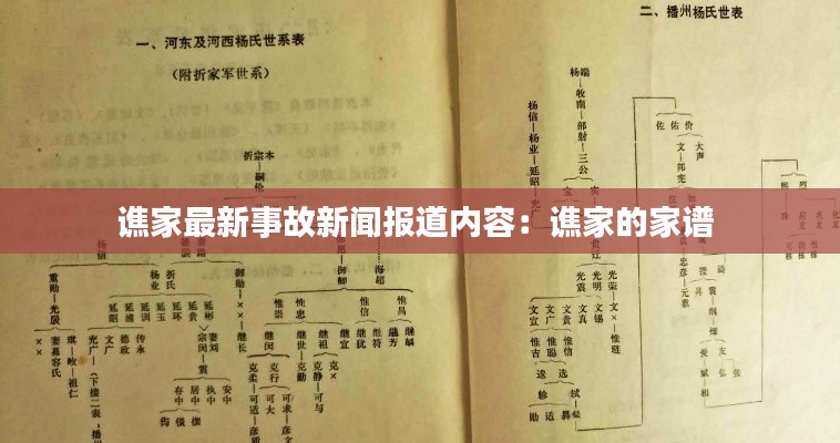 谯家最新事故新闻报道内容：谯家的家谱 