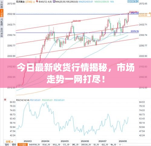 今日最新收货行情揭秘，市场走势一网打尽！