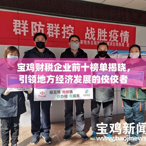 宝鸡财税企业前十榜单揭晓，引领地方经济发展的佼佼者