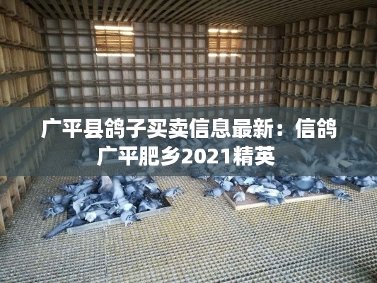 销声匿迹 第3页