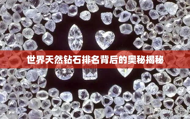 腾龙换鸟 第3页