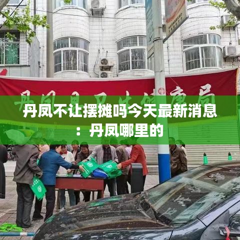 丹凤不让摆摊吗今天最新消息：丹凤哪里的 