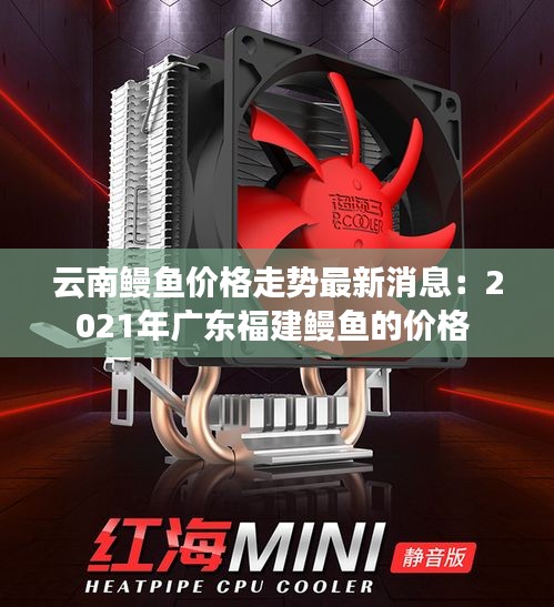 云南鳗鱼价格走势最新消息：2021年广东福建鳗鱼的价格 