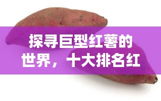 探寻巨型红薯的世界，十大排名红薯榜单揭晓！