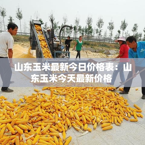 山东玉米最新今日价格表：山东玉米今天最新价格 