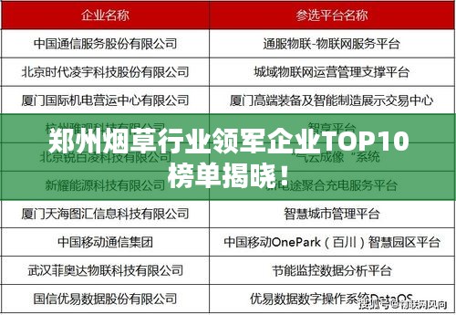 丰容盛鬋 第3页