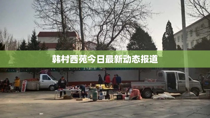 候鸟南飞 第3页