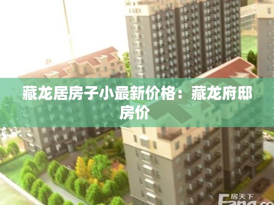 藏龙居房子小最新价格：藏龙府邸房价 