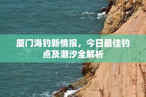厦门海钓新情报，今日最佳钓点及潮汐全解析
