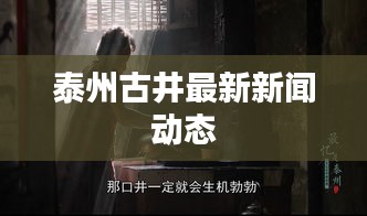 泰州古井最新新闻动态