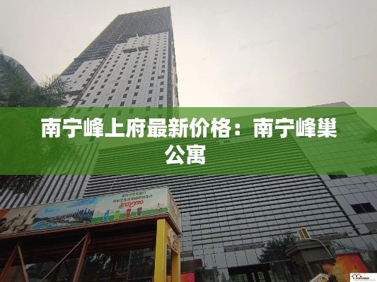 南宁峰上府最新价格：南宁峰巢公寓 
