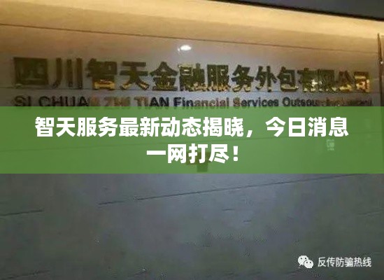 智天服务最新动态揭晓，今日消息一网打尽！