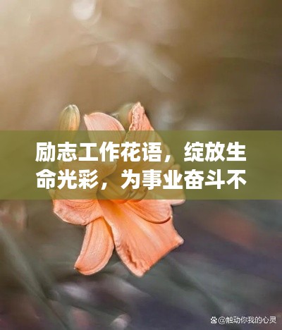 励志工作花语，绽放生命光彩，为事业奋斗不息！