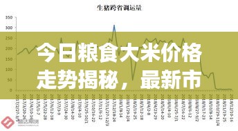 今日粮食大米价格走势揭秘，最新市场趋势与影响因素深度解析