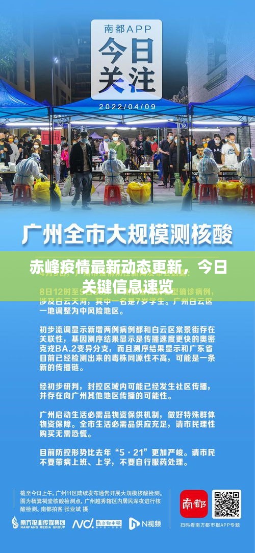 赤峰疫情最新动态更新，今日关键信息速览