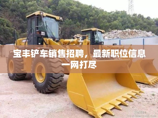 宝丰铲车销售招聘，最新职位信息一网打尽