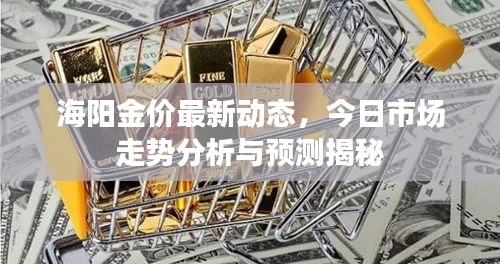 海阳金价最新动态，今日市场走势分析与预测揭秘