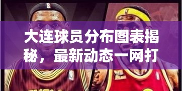 大连球员分布图表揭秘，最新动态一网打尽
