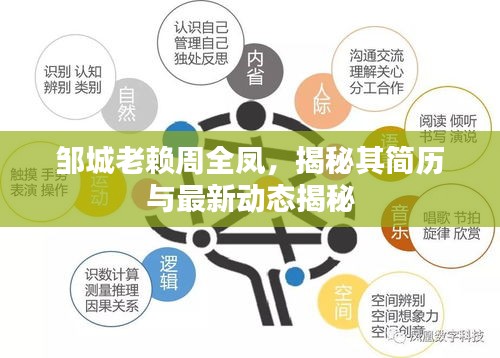 邹城老赖周全凤，揭秘其简历与最新动态揭秘