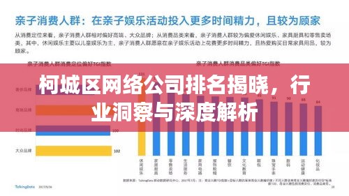 柯城区网络公司排名揭晓，行业洞察与深度解析