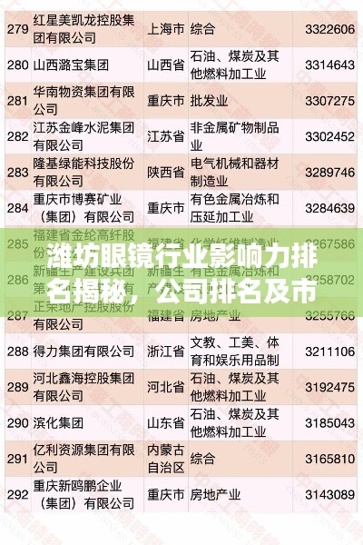潍坊眼镜行业影响力排名揭秘，公司排名及市场影响力解析
