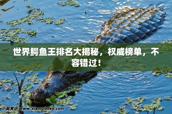 世界鳄鱼王排名大揭秘，权威榜单，不容错过！