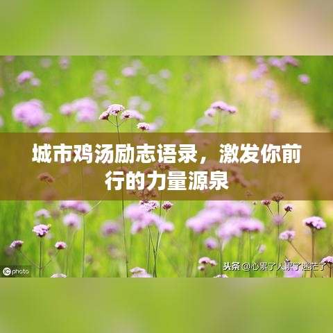 城市鸡汤励志语录，激发你前行的力量源泉