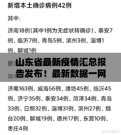 山东省最新疫情汇总报告发布！最新数据一网打尽