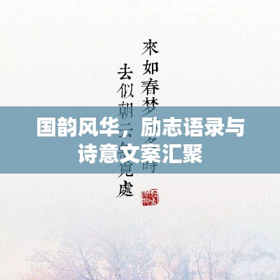 国韵风华，励志语录与诗意文案汇聚