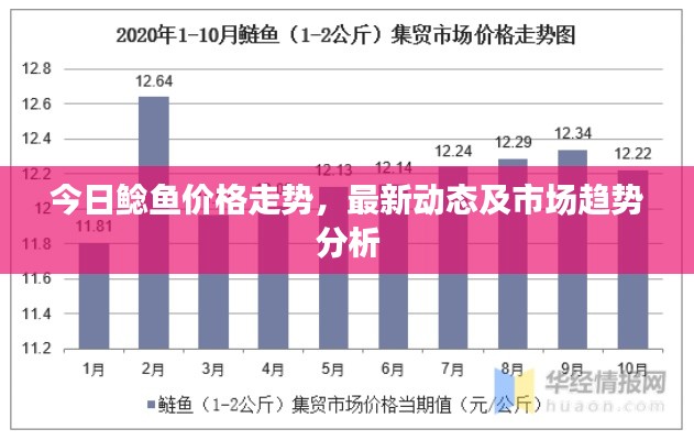 今日鲶鱼价格走势，最新动态及市场趋势分析