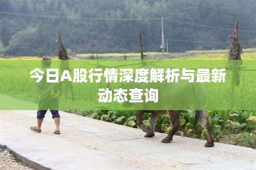 今日A股行情深度解析与最新动态查询