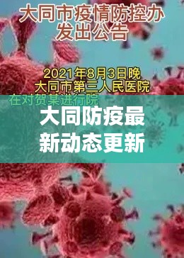 大同防疫最新动态更新